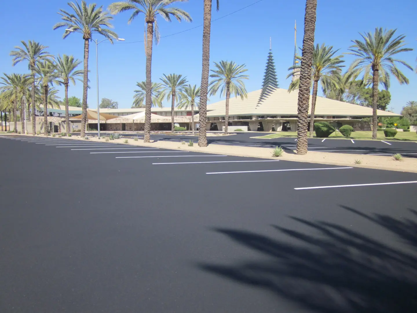 A parking lot with palm trees and a building in the background.